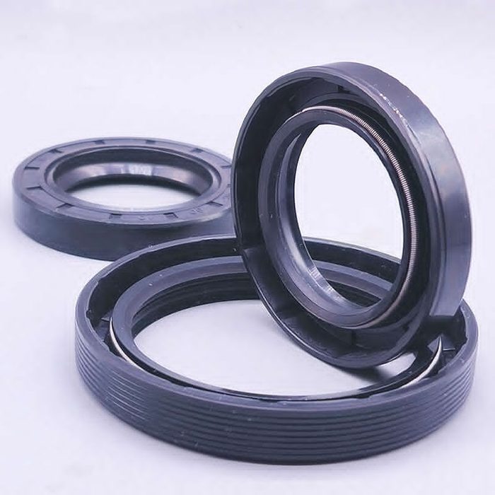 Lip Seal