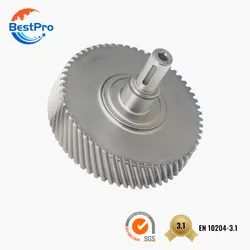Metal Worm Gear
