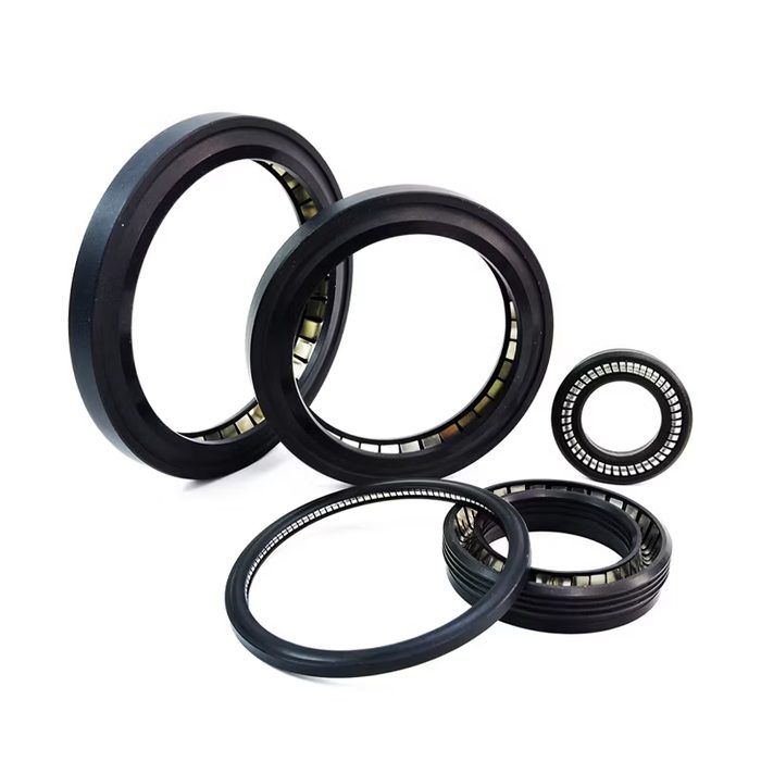 Spring Energized Seal